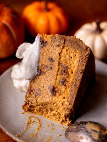 A slice of pumpkin cinnamon swirled cheesecake on it's side on a plate.
